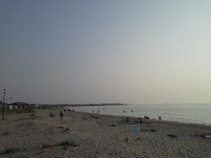 wp-1376407215529.jpg image